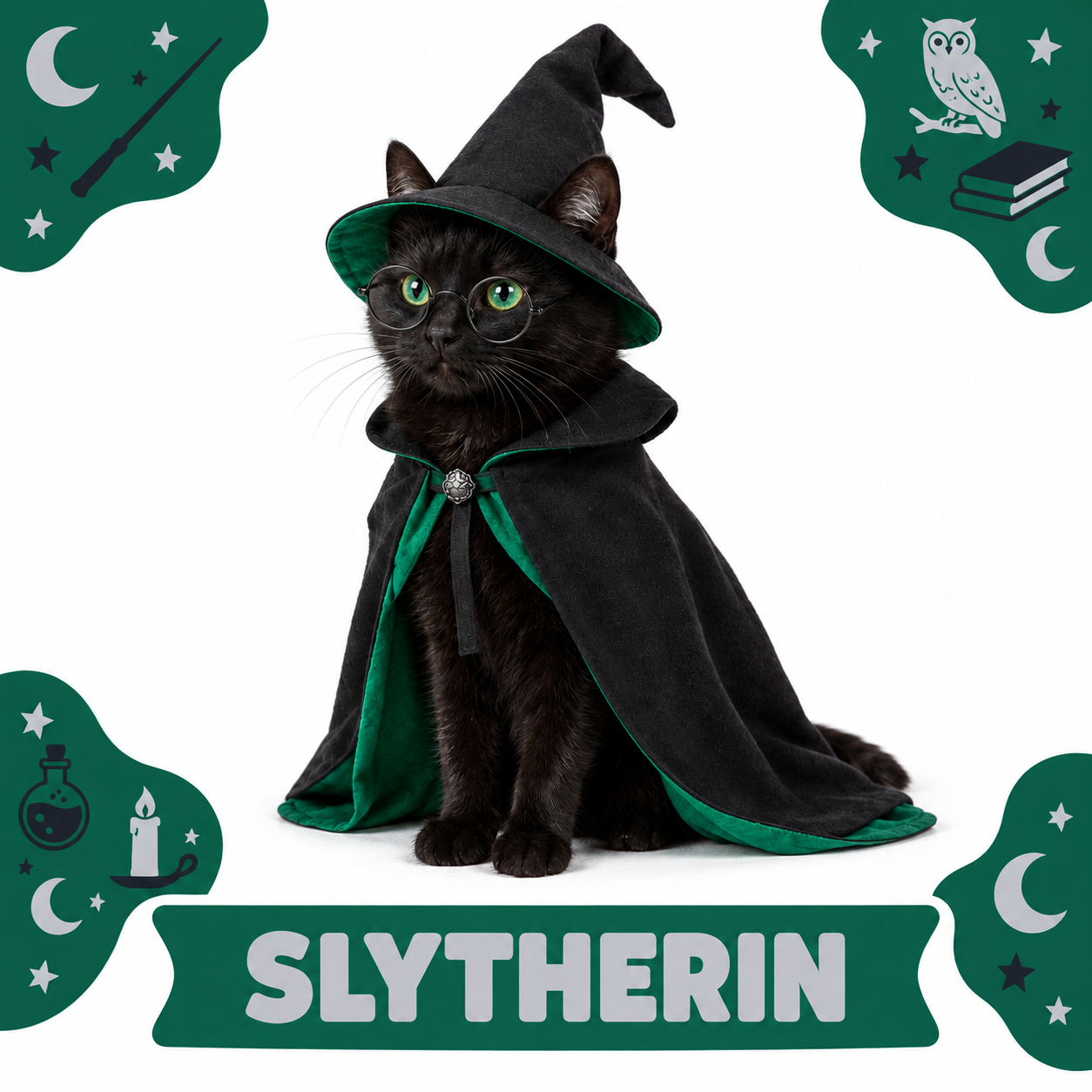 Cat Costume Hogwarts Houses
