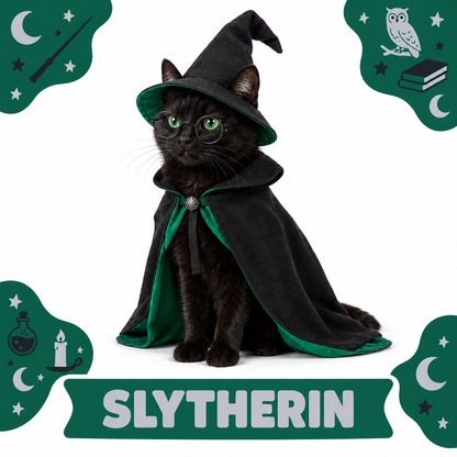Cat Costume Hogwarts Houses